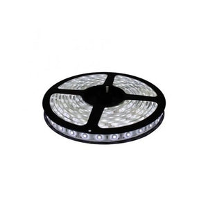 Metro de Tira Cinta led 5050 12V color blanco Venta por 1 metro IP20