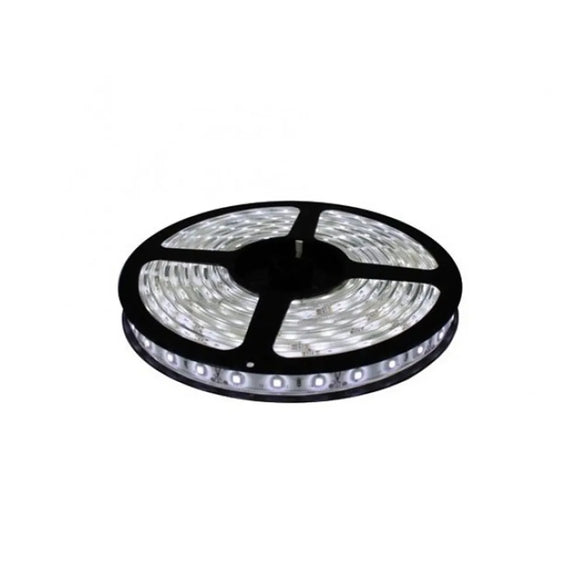 Metro de Tira Cinta led 5050 12V color blanco Venta por 1 metro IP20